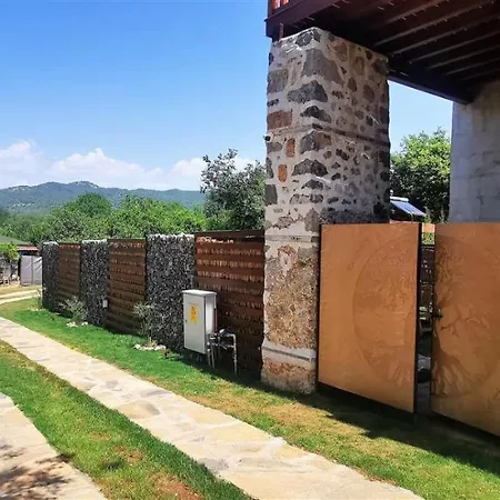 Vita * Φετιγιέ